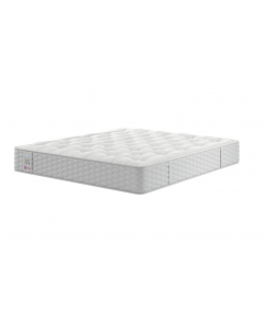 Sealy Fremont Backcare Firm comfort  Mattress